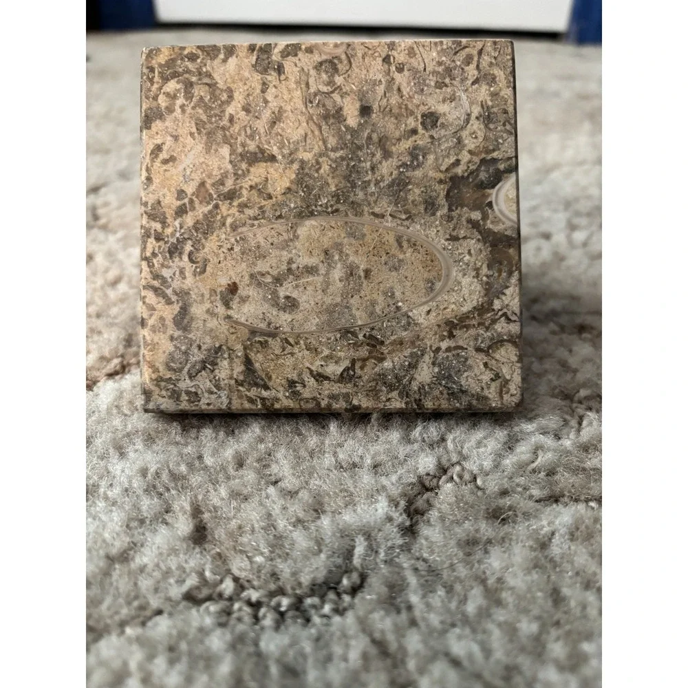 Vintage Fossil Limestone Pyramid Paperweight Orthoceras Ammonite Stone Decor 3